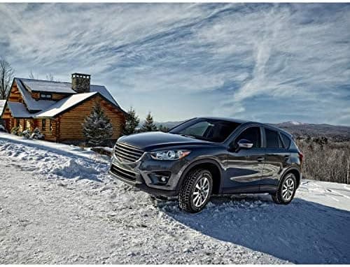 51Anun3-yfL._AC_.jpg